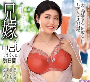 ALDN-489与大嫂中出的数日间-赤井美希