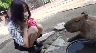 FC2PPV-4265371女大学生带入森林深处户外猥亵口中射精