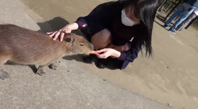 FC2PPV-3363270天生丽质的美人