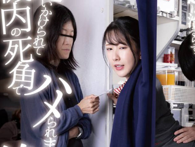 DANDY-968 うぶな男の子に冗谈半分の挑発パンチラしたら超暴走！ 仕方なく射精させてあげても勃起は治まらず追いかけられて机内の死角でハメられまくる美人CA