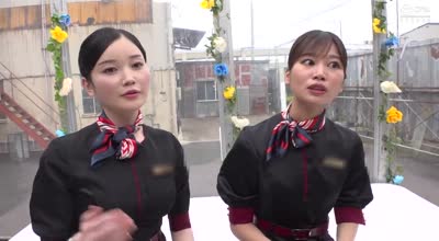 DVMM-197 美脚キャビンアテンダント2人组が初めての逆3P童贞笔おろし！闷える童贞くんに痴女心が芽生えた高身长CAたちのチ○ポ夺いあいハーレム3P！