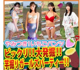 STVF-095 素人パンチラ in 自宅で个人撮影会vol.99！鲜度抜群な果物の様にみずみずしいフレッシュさ溢れ出る可怜な清纯ガールたち大豊作の耻じらい撮影会