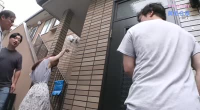 SNOS-091 一般女性が决意のAVデビューから早3本目にしてプロ男优の洗礼を受ける。 ゲリラ撮影ながら高水准VTR撮影に成功。 现役看护师 絶顶！潮吹き！仰け反り大痉挛エクスタシー