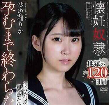 APNS-327 懐妊奴● 地狱の120日间 ゆめ莉りか