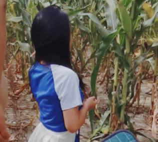 去姥姥家给收玉米在地里与女儿野战姥姥贴心的给准备了垫子