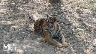 MM-080 曼谷东南亚浪漫之旅 吴梦梦