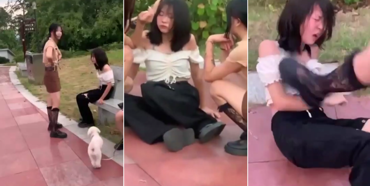 女同学被精神小妹<span style="color: #ff5b82">霸</span><span style="color: #ff5b82">凌</span>的!