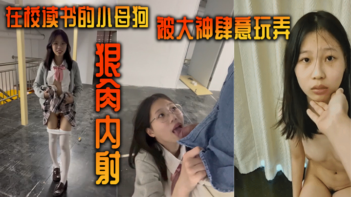 在校读书的小母狗被大神肆意玩弄，狠肏内射