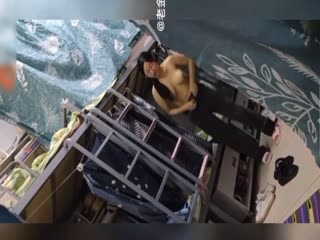 南京武玄区1912酒吧街，醉酒美女被当街强奸，山东潍坊村书记与妇女主任忘关摄像头，两部合集！