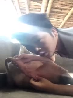 <span style="color: #ff5b82">人</span><span style="color: #ff5b82">兽</span>猪圈亲猪屁眼